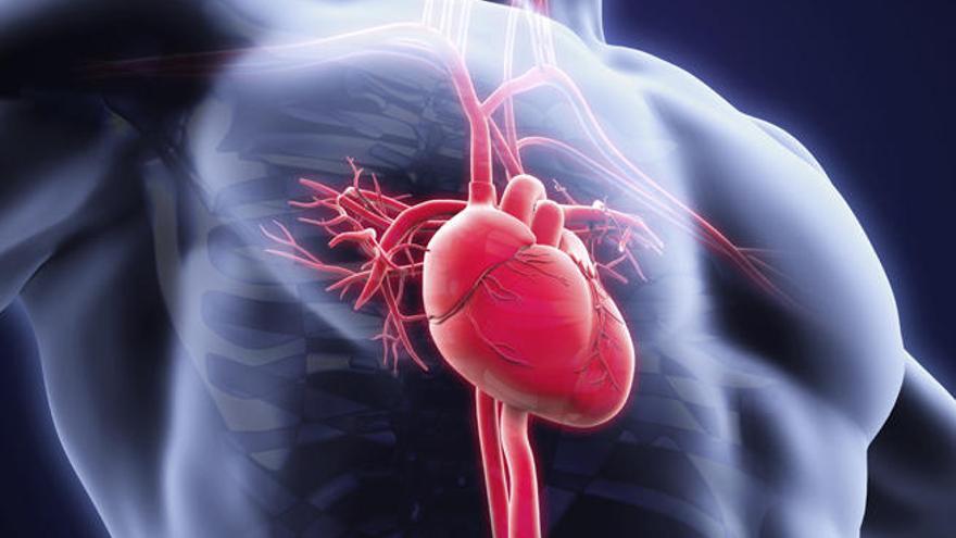 La pericarditis, una enfermedad cardiovascular