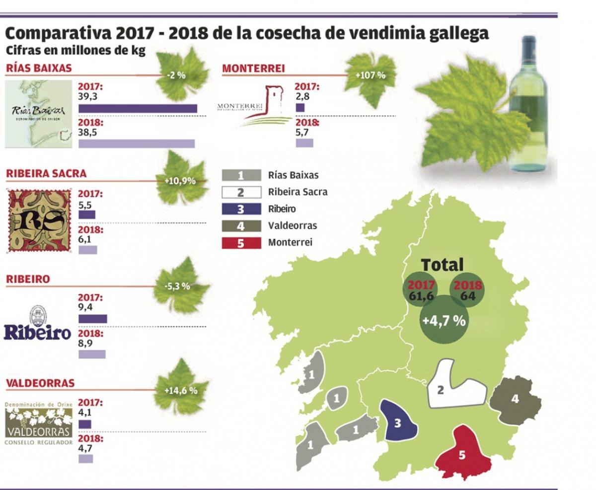 La vendimia finaliza con la segunda mejor cosecha de la historia pese a la meteorología