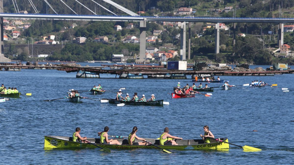 Una prueba anterior de bateles en aguas moañesas.