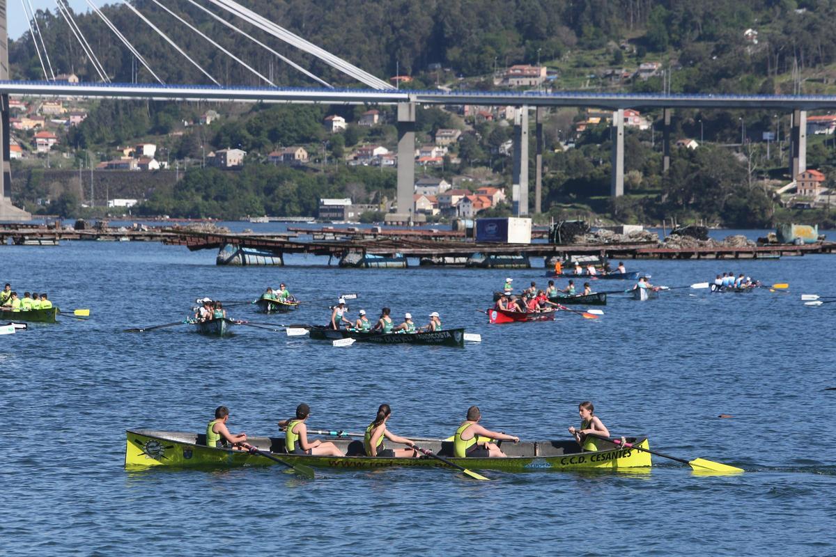 Una prueba anterior de bateles en aguas moañesas.