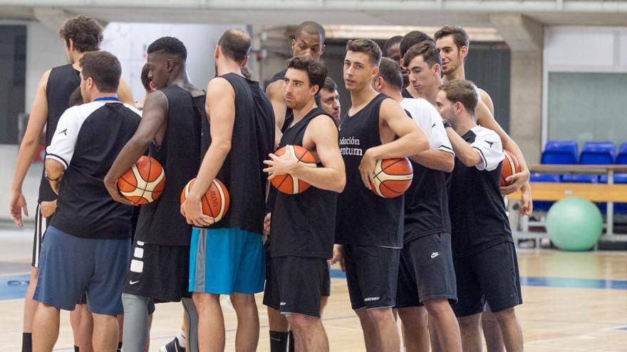 El HLA Alicante, obligado a entrenar en Babel