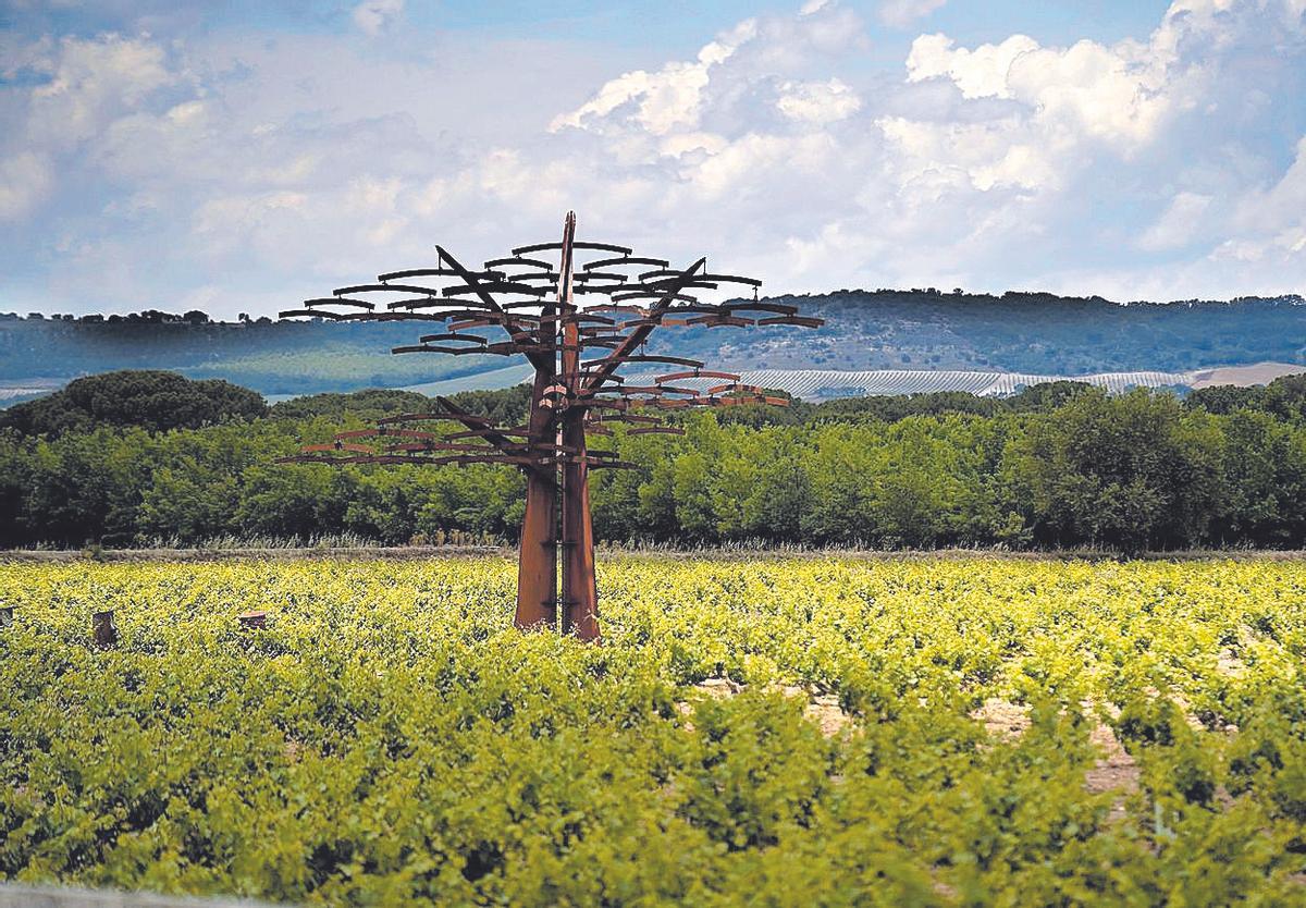Vega Sicilia: els secrets del celler que converteix el temps en vi (de luxe)