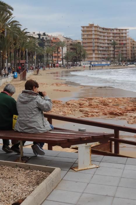 El temporal arrasa las playas de la Vega Baja