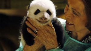 Sofia ha visitat les cries nascudes al Zoo de Madrid.