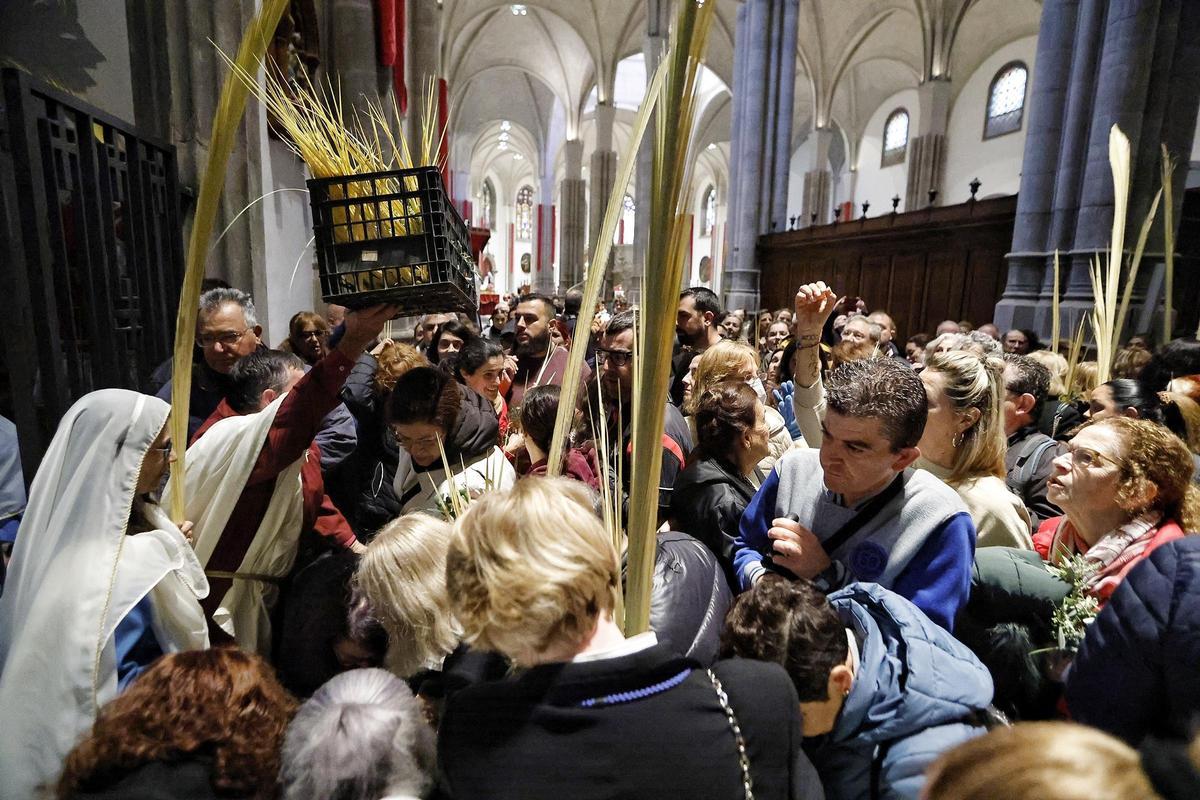 Los laguneros se tratan de hacer con una rama de olivo en la Catedral.