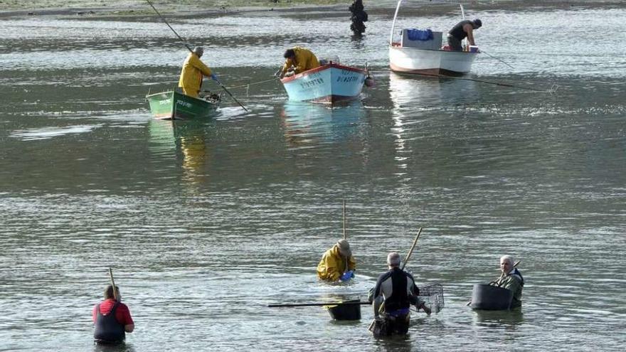 Mariscadores en la ría de O Burgo.