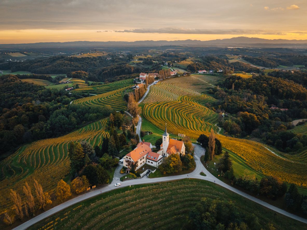 Maribor es ciudad de vinos