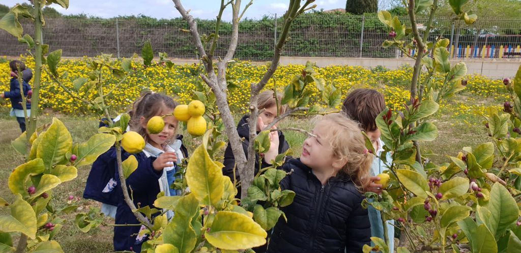 Son Verí Nou, la cooperativa educativa de calidad en Mallorca