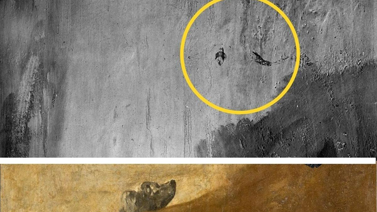 Fotomontaje donde se observa al ’Perro semihundido’ de Goya (1820-1823), y lo que los expertos creen que son dos pájaros que estarían en la pintura original de la Quinta del Sordo.
