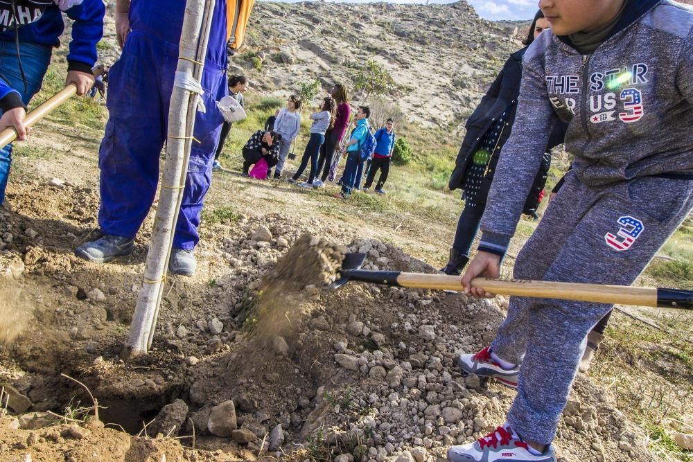 Proyecto para convertir la cantera de Cox en zona verde