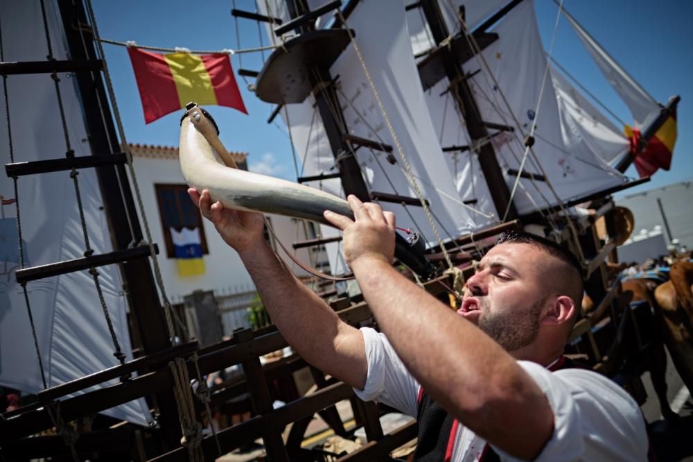 Romería de Tegueste, mayo de 2019