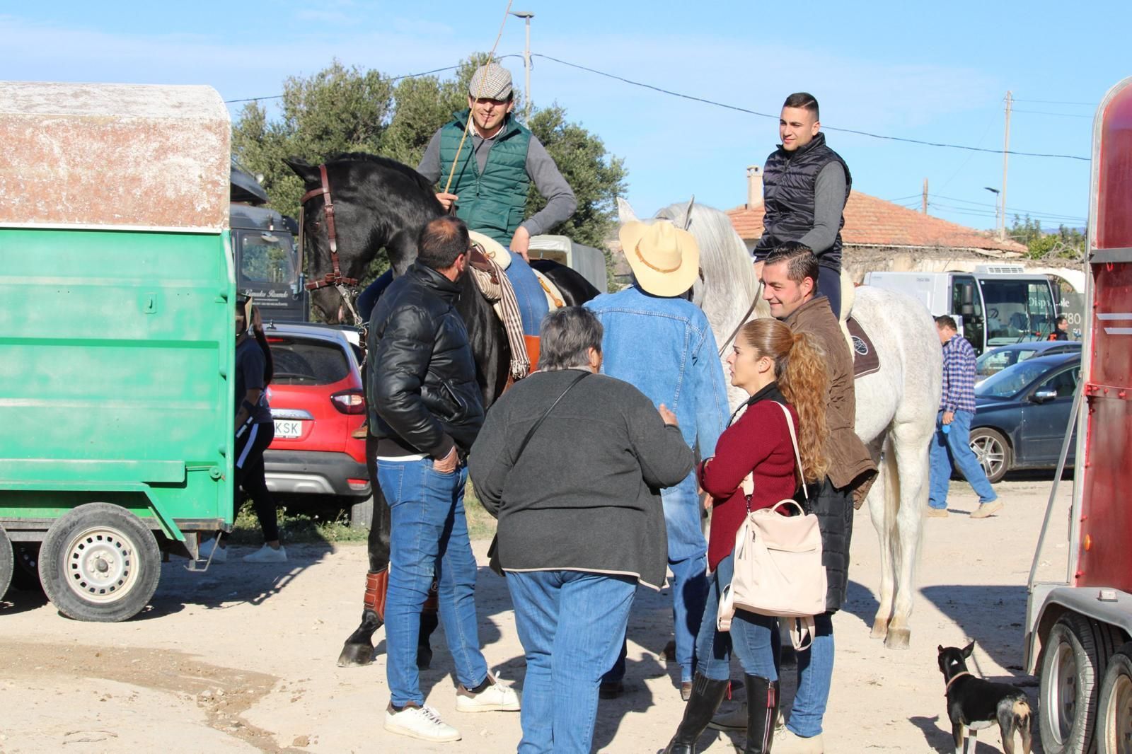 El Campello celebra la bendición tradicional en por Sant Antoni del Porquet