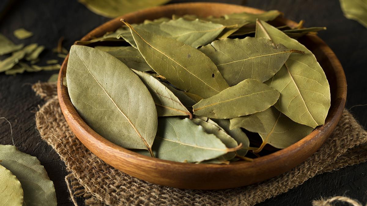 LAUREL EN LA ALMOHADA Una hoja de laurel en la funda de la almohada