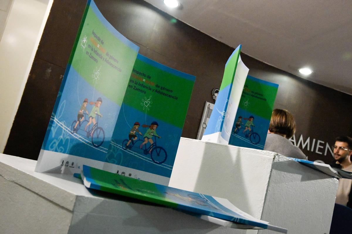 Zamora. informe Igualdad de Género en Juventud e Infancia