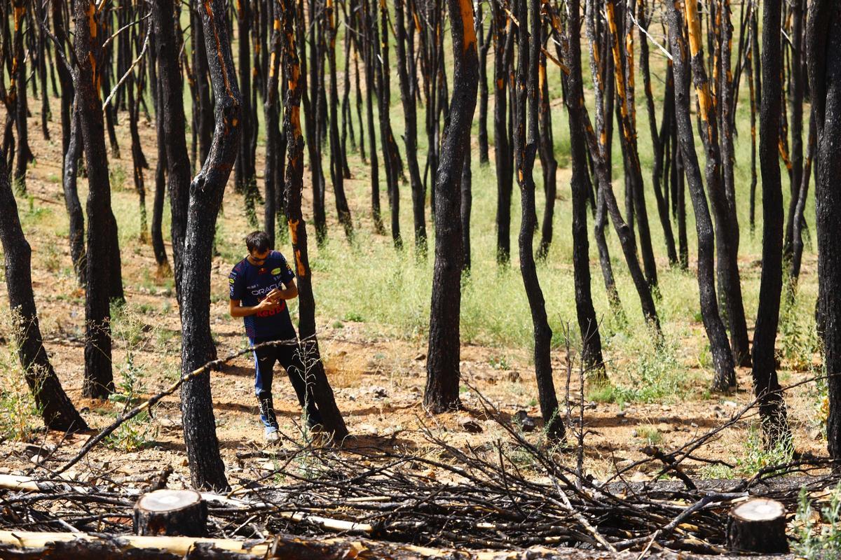 En imágenes | Así está Ateca un año después del incendio forestal que afectó a 14.000 hectáreas En imágenes | Así está Ateca un año después del incendio forestal que afectó a 14.000 hectáreas