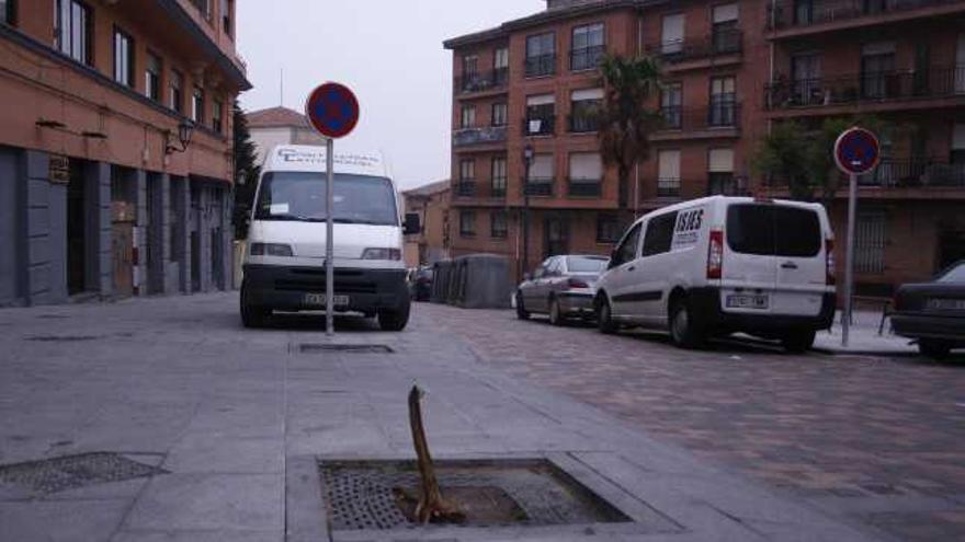 En la imagen se observa lo que queda del árbol roto, así como otro de los alcorques sin plantación