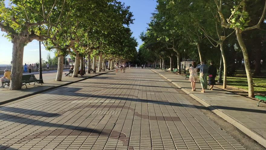 Paseo central de la Mota que se va a renovar, así como el de la izquierda de la imagen, también contemplado en la primera fase de las actuaciones. | E. P.