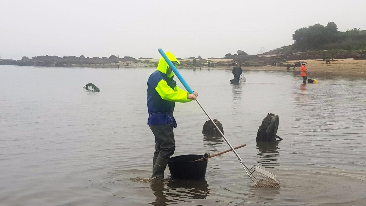 Marisqueo en Vilaxoán.