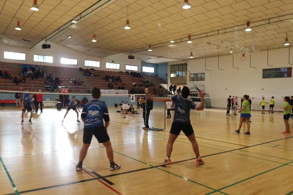 Final Regional de bádminton de Deporte Escolar