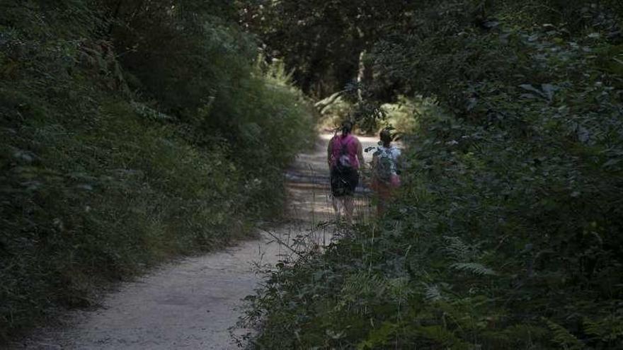 Dos caminantes por la Senda da Auga, con maleza en los márgenes.