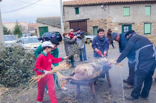 Matanza del cerdo en Tábara