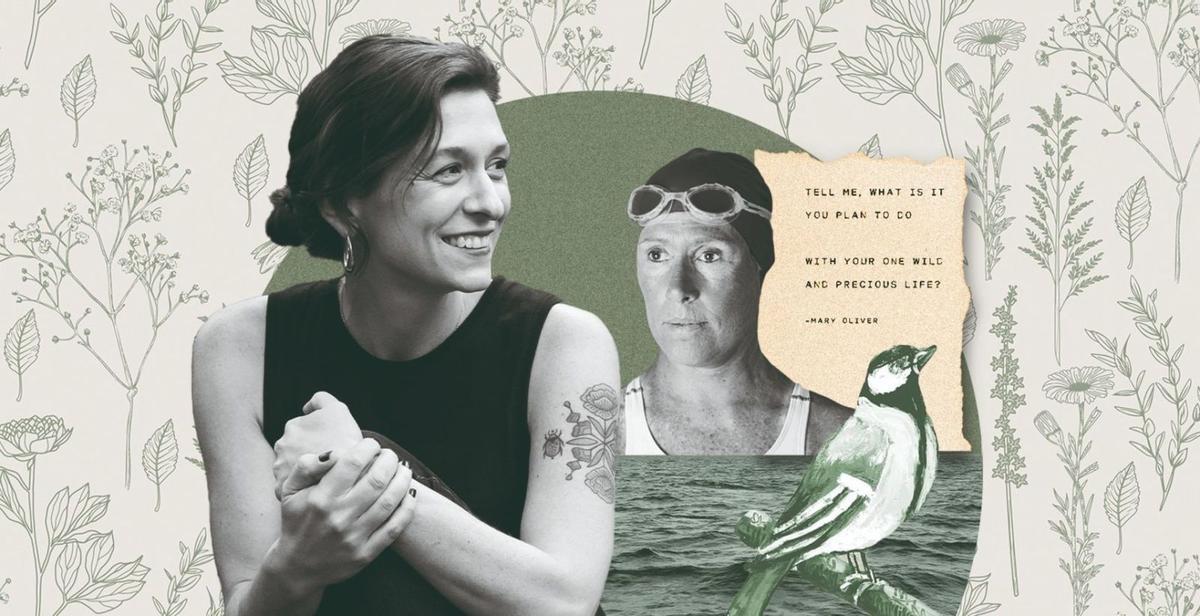 Ocells, taurons i un poema  de Mary Oliver
