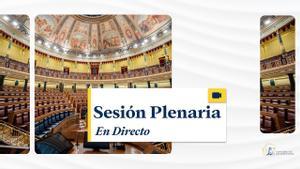 Sesión plenaria en el Congreso de los Diputados, en directo