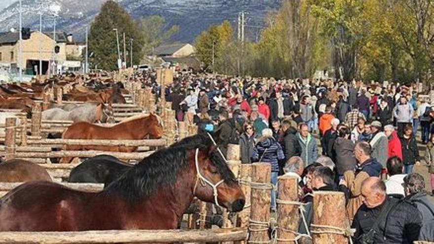 Ambient de la Fira del Cavall de Puigcerdà en l&#039;edició de l&#039;any passat, plena de bestiar i de visitants