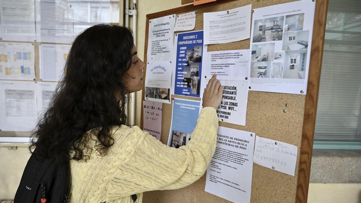 Una estudiante mira anuncios de pisos en alquiler en la Facultade de Belas Artes.