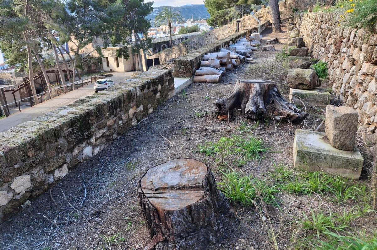 Tocones y troncos apilados junto a los sillares de tosca
