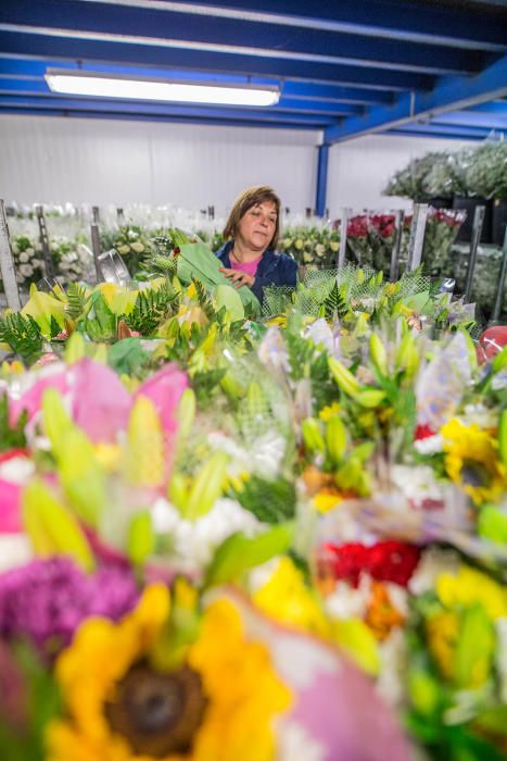 Un millón y medio de flores para el recuerdo