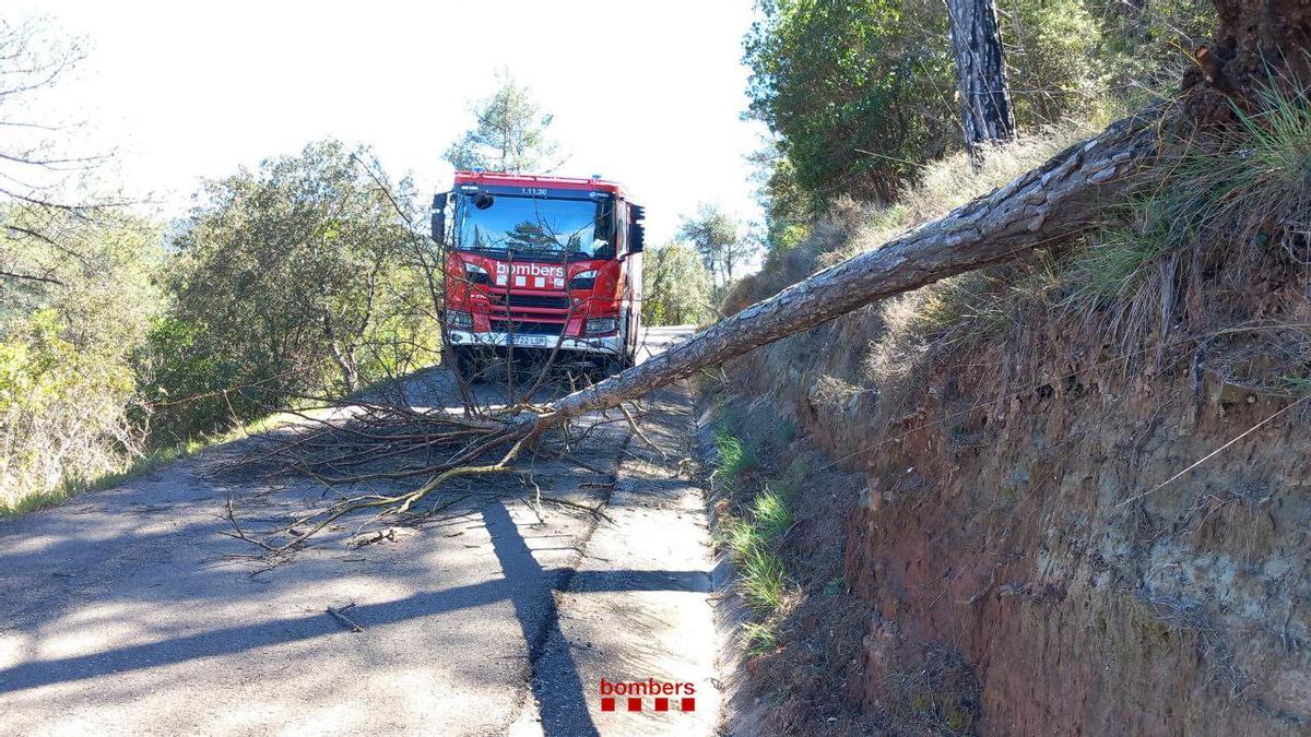 Imagen de una actuación de los bomberos Imagen de una actuación de los bomberos