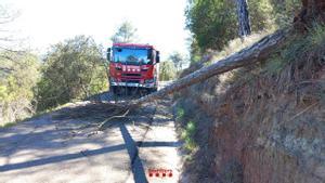 Imagen de una actuación de los bomberos