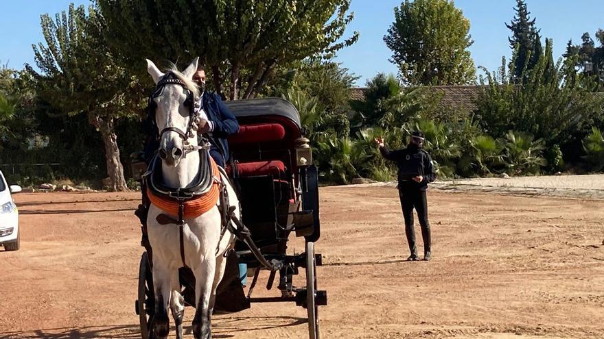 La Policía Local de Córdoba revisa los carruajes de caballos