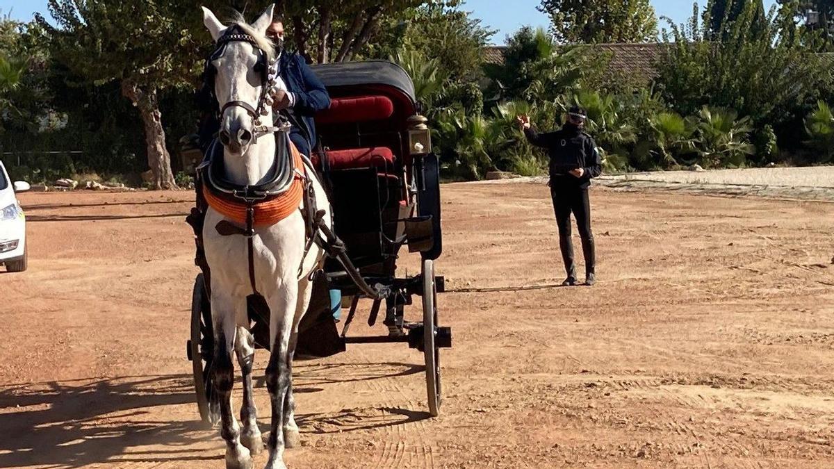 Un policía revisa un carruaje de caballos en Córdoba.