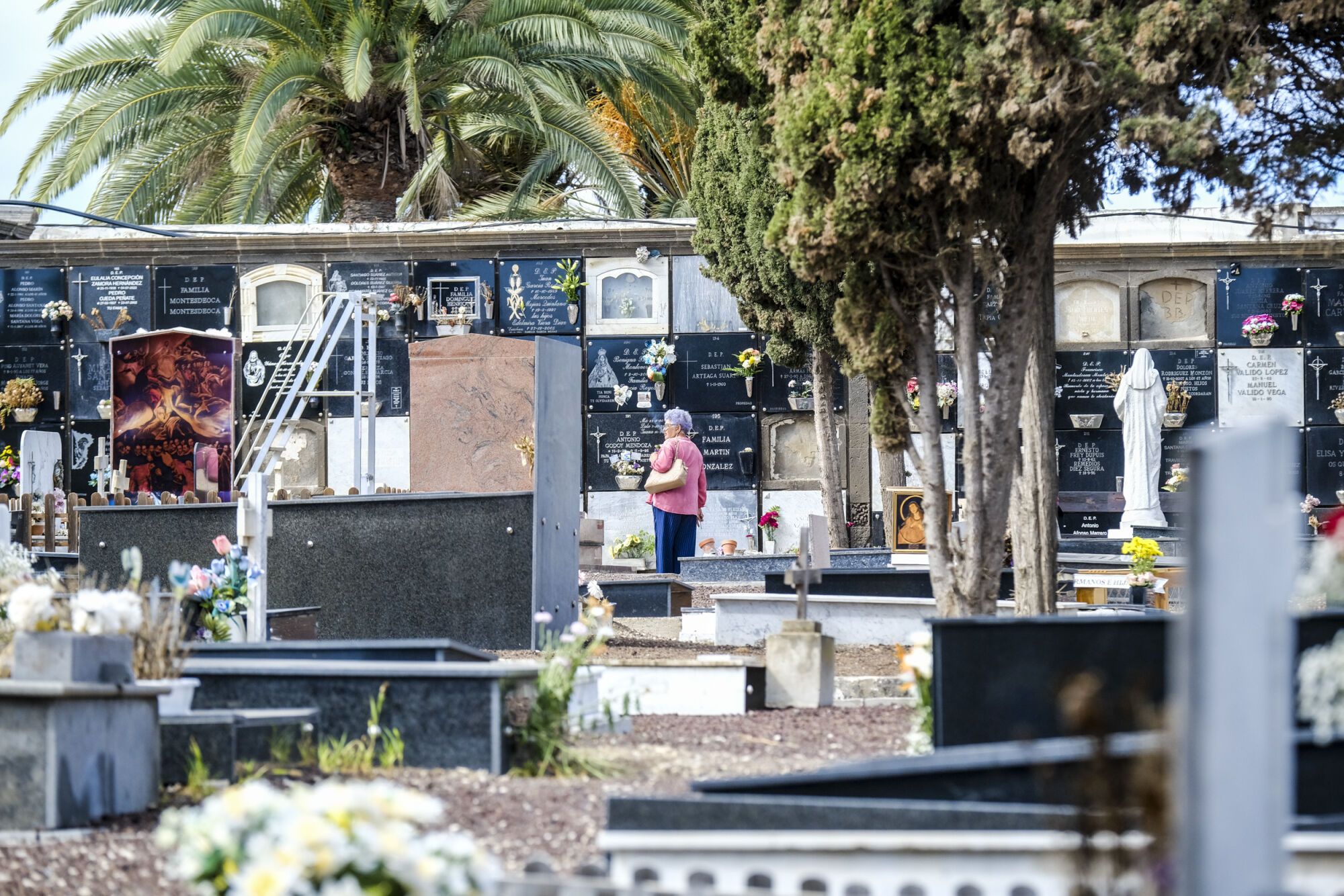 El cementerio de San Lázaro se prepara para el Día de Todos los Santos