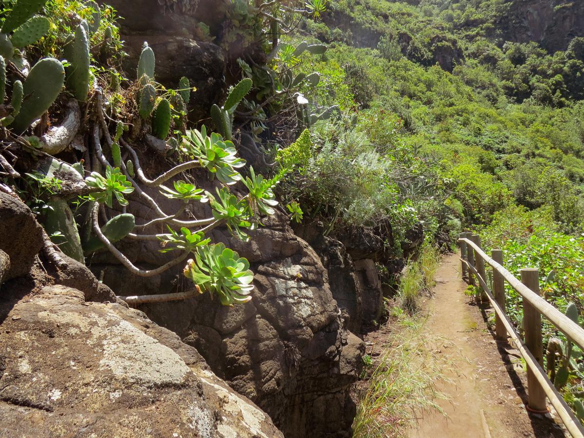 La Reserva Natural Especial conocida como el "fósil viviente"