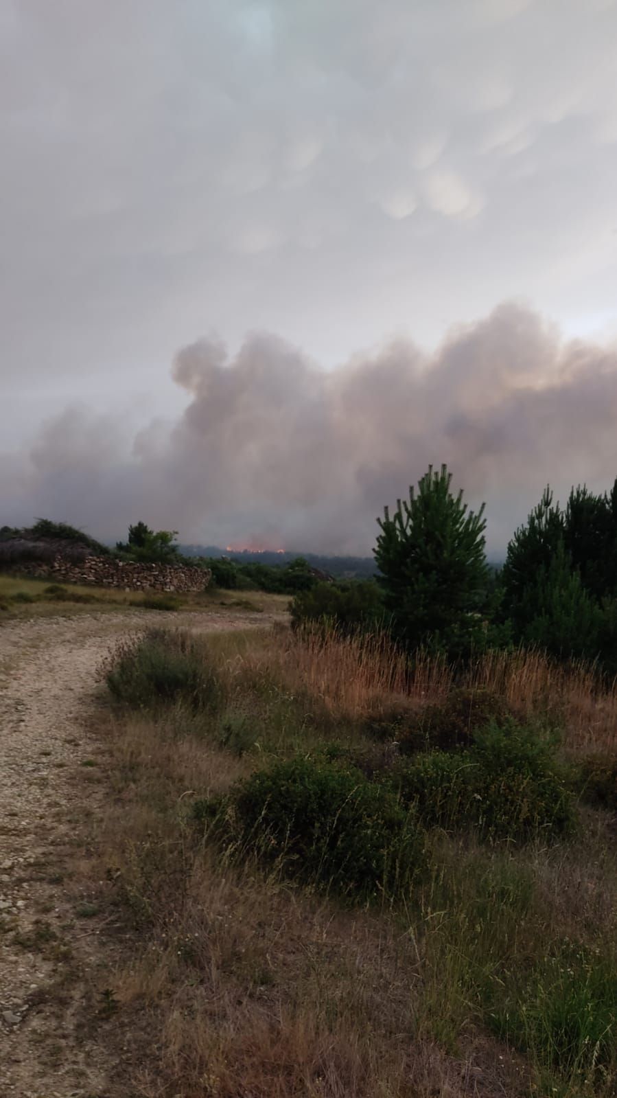 GALERÍA | Así se ve el incendio desde Ferreras de Arriba