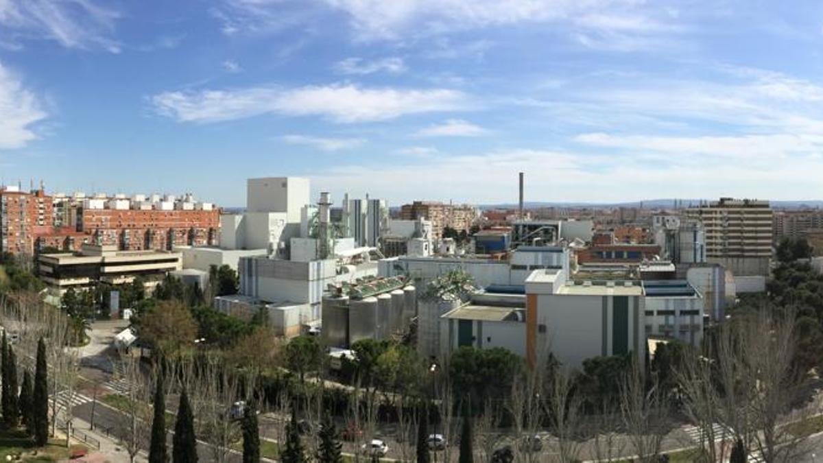La planta de Tereos situada en Aragón procesa unas 400.000 toneladas de maíz al año.