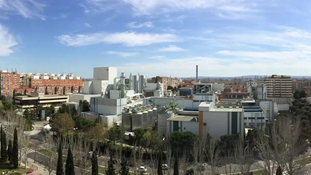 Tereos asegura un maíz libre de transgénicos y micotoxinas