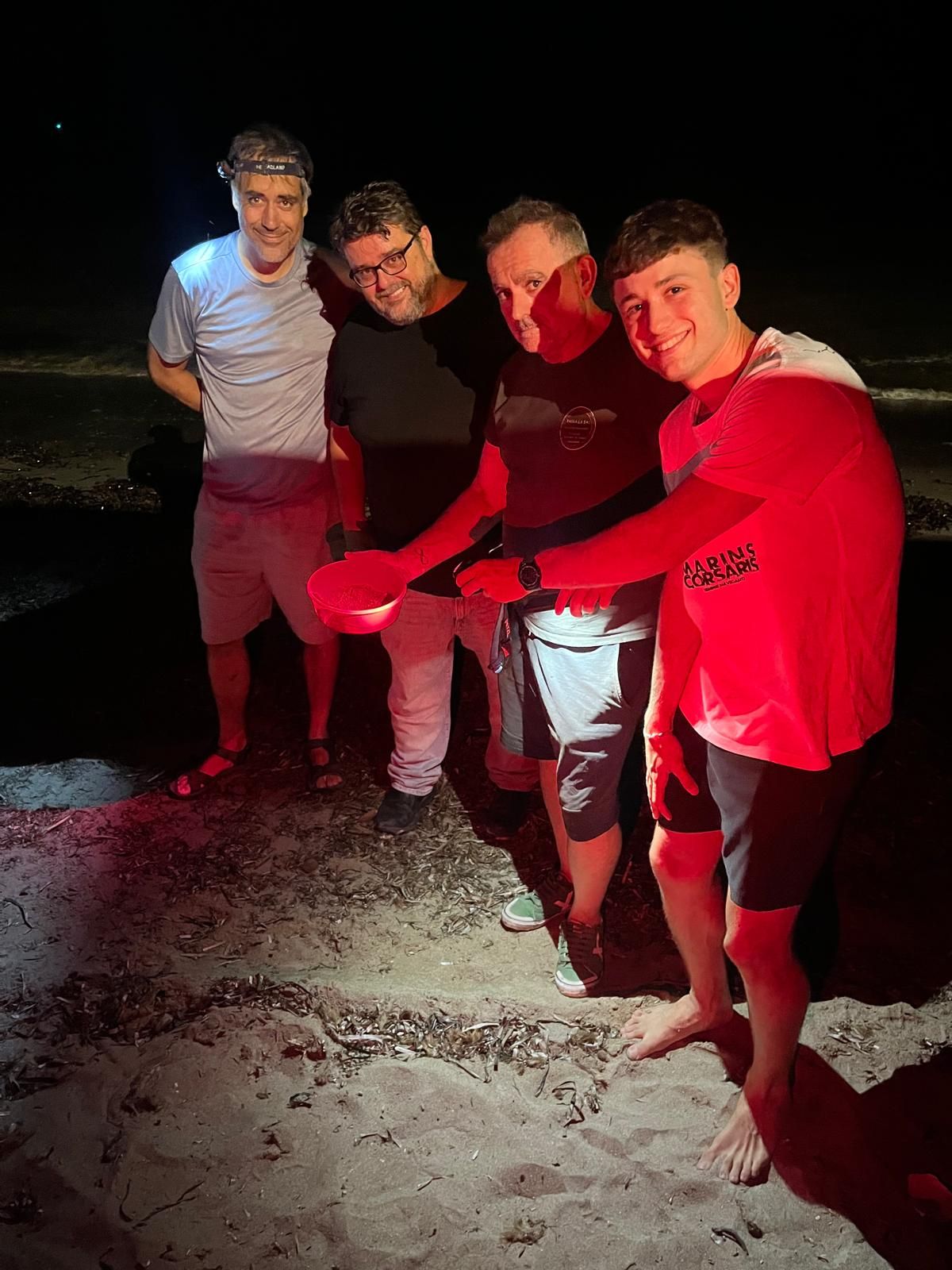 El milagro de la vida en una playa de Dénia: las imágenes del nacimiento de 98 tortugas