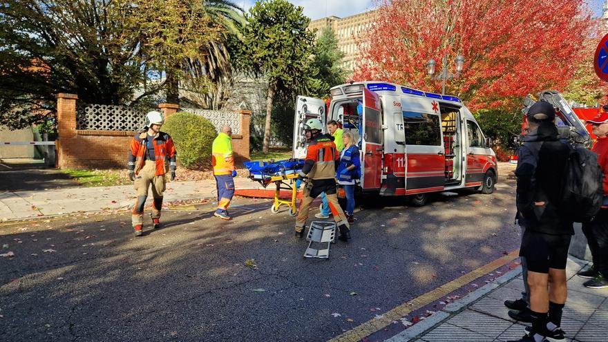 Herida una mujer en Oviedo tras caerle encima un árbol derribado por el temporal