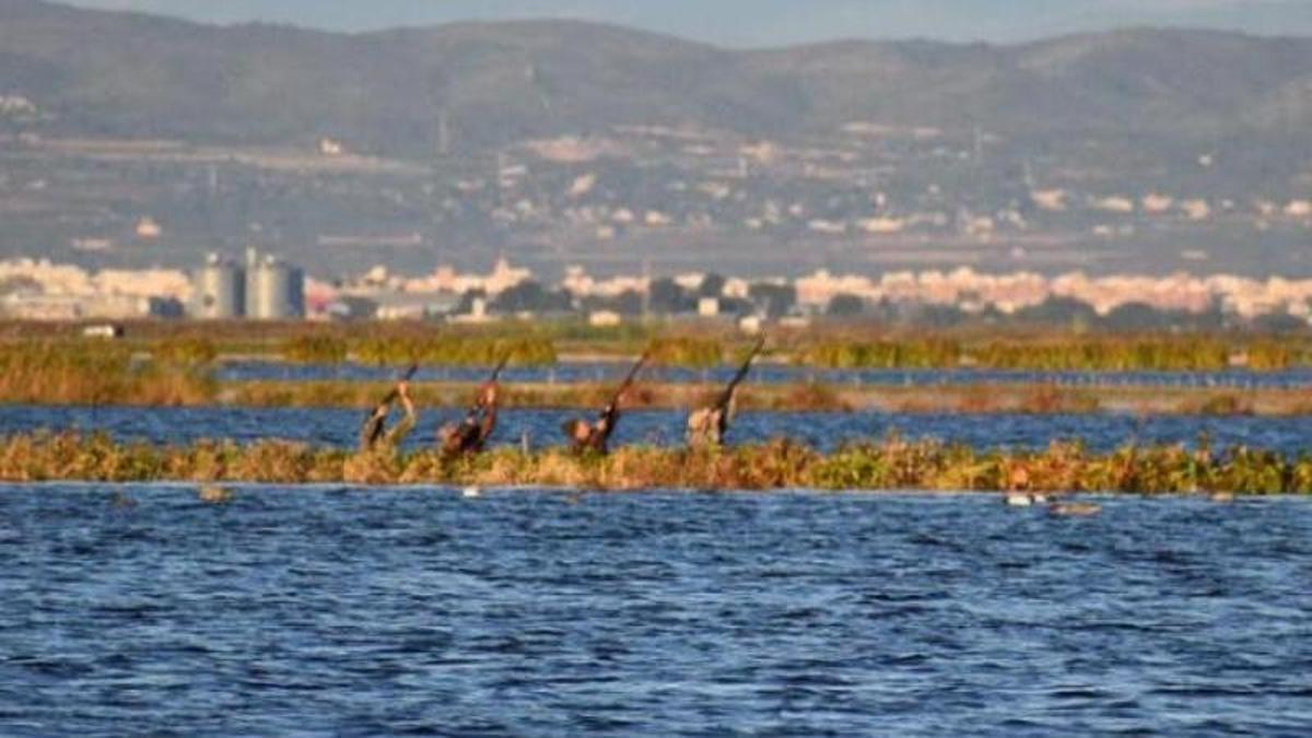 Varios cazadores, el sábado, en una de las replazas del coto de Sueca.