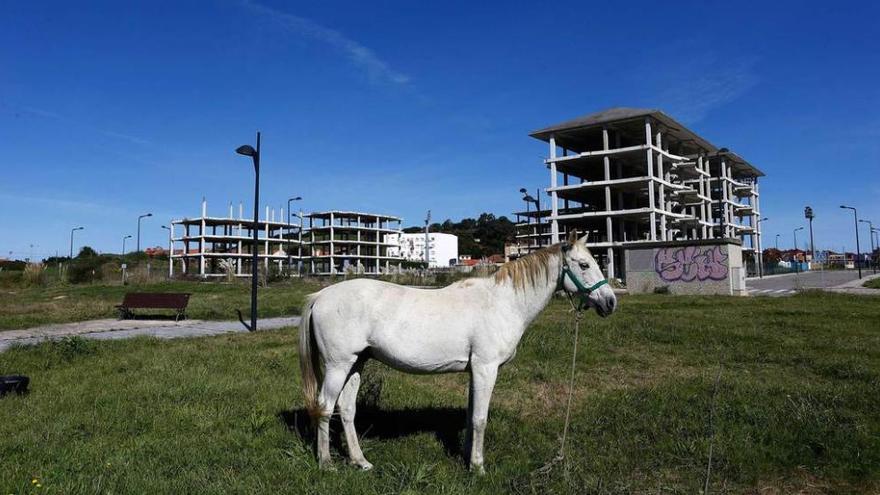 Un caballo, ante los inacabados edificios de la entrada de Luanco.