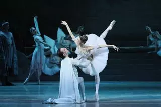 Stars Gala volverá a traer a algunas de las mayores estrellas del ballet mundial a Alicante