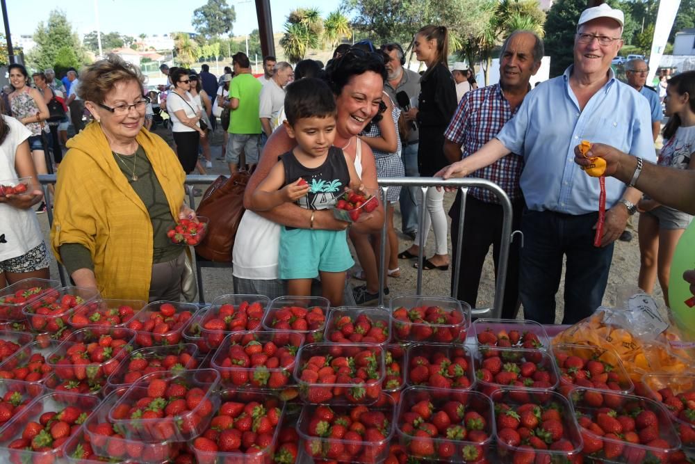 Colas para tomar fresas en las Fiestas de Eirís