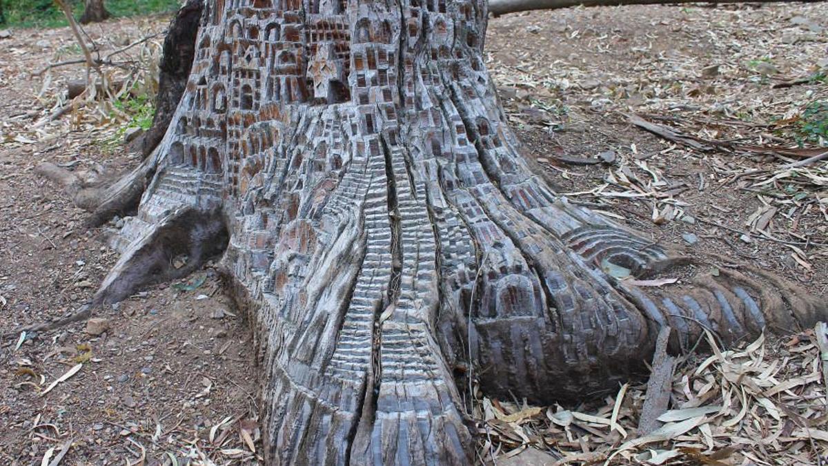 Los castillos de 'Juego de Tronos' y 'El Señor de los Anillos' están en Málaga: este es el proyecto de un malagueño que convierte árboles en obras de arte