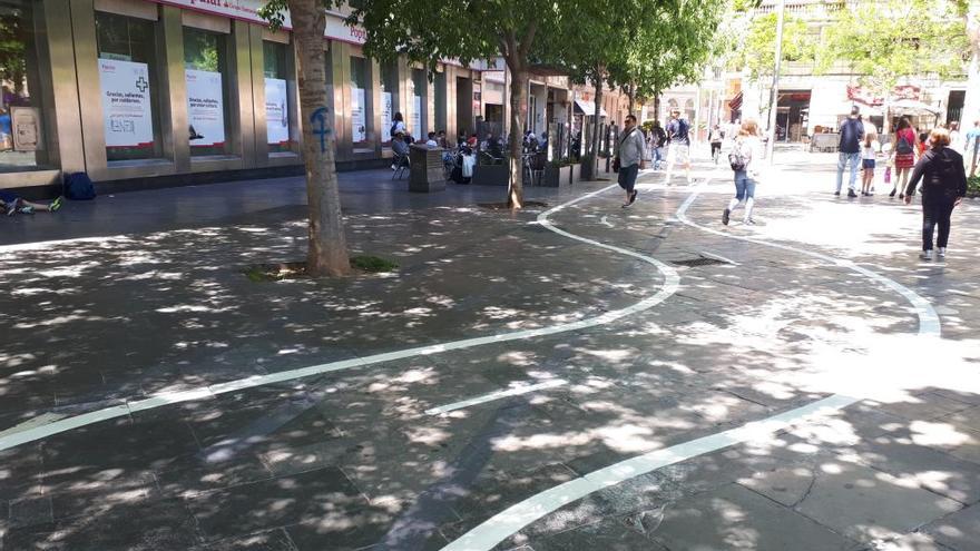 Carril bici en la plaza de EspaÃ±a.