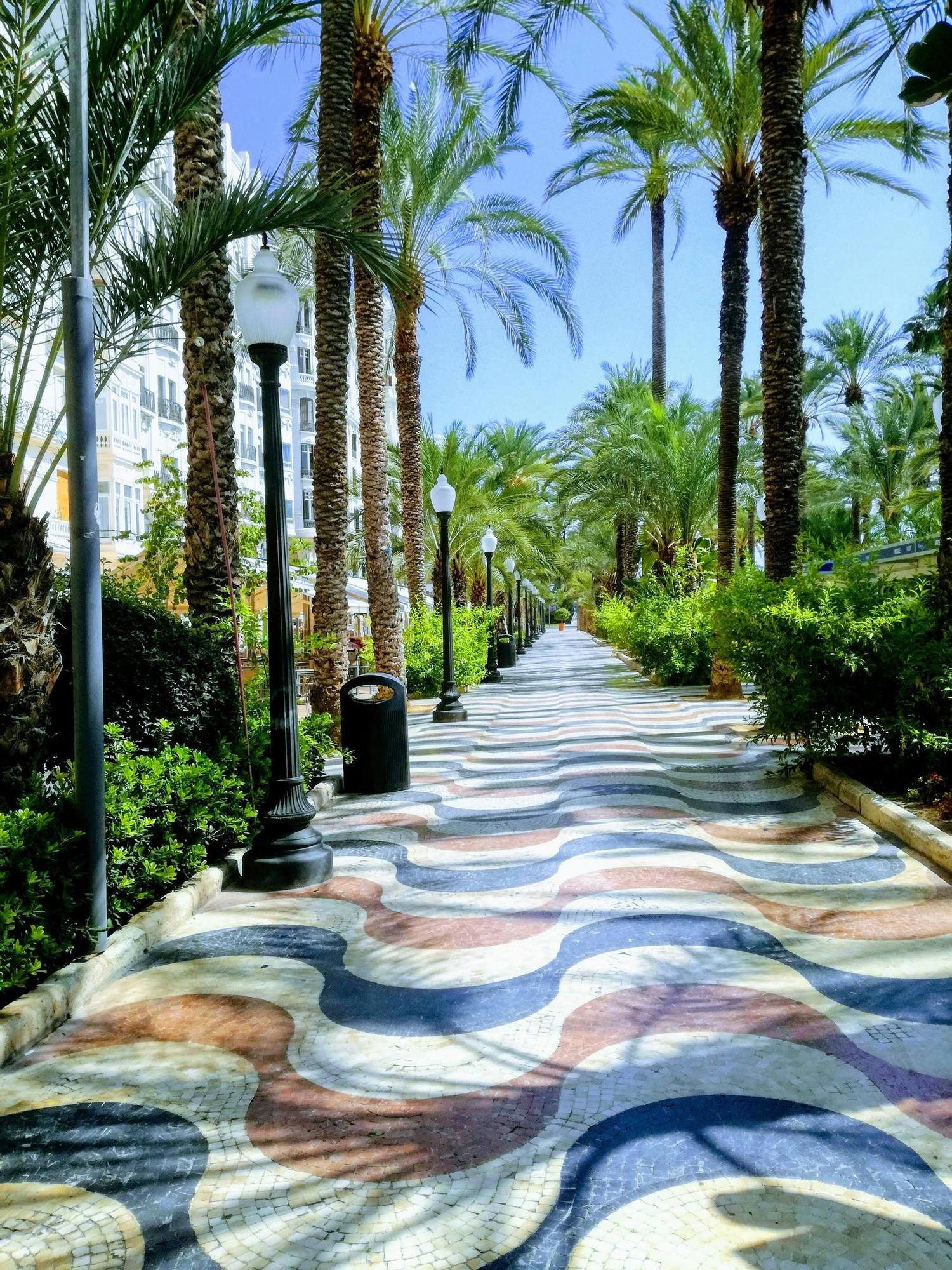 Este paseo de Alicante es un símbolo de la ciudad.