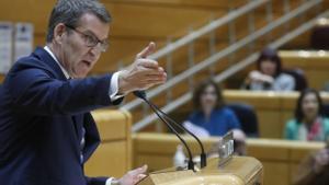 El líder del PP, Alberto Núñez Feijóo, interviene en el debate del Senado, este martes en Madrid.